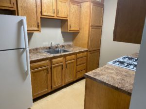 Evergreen Manors Kitchen